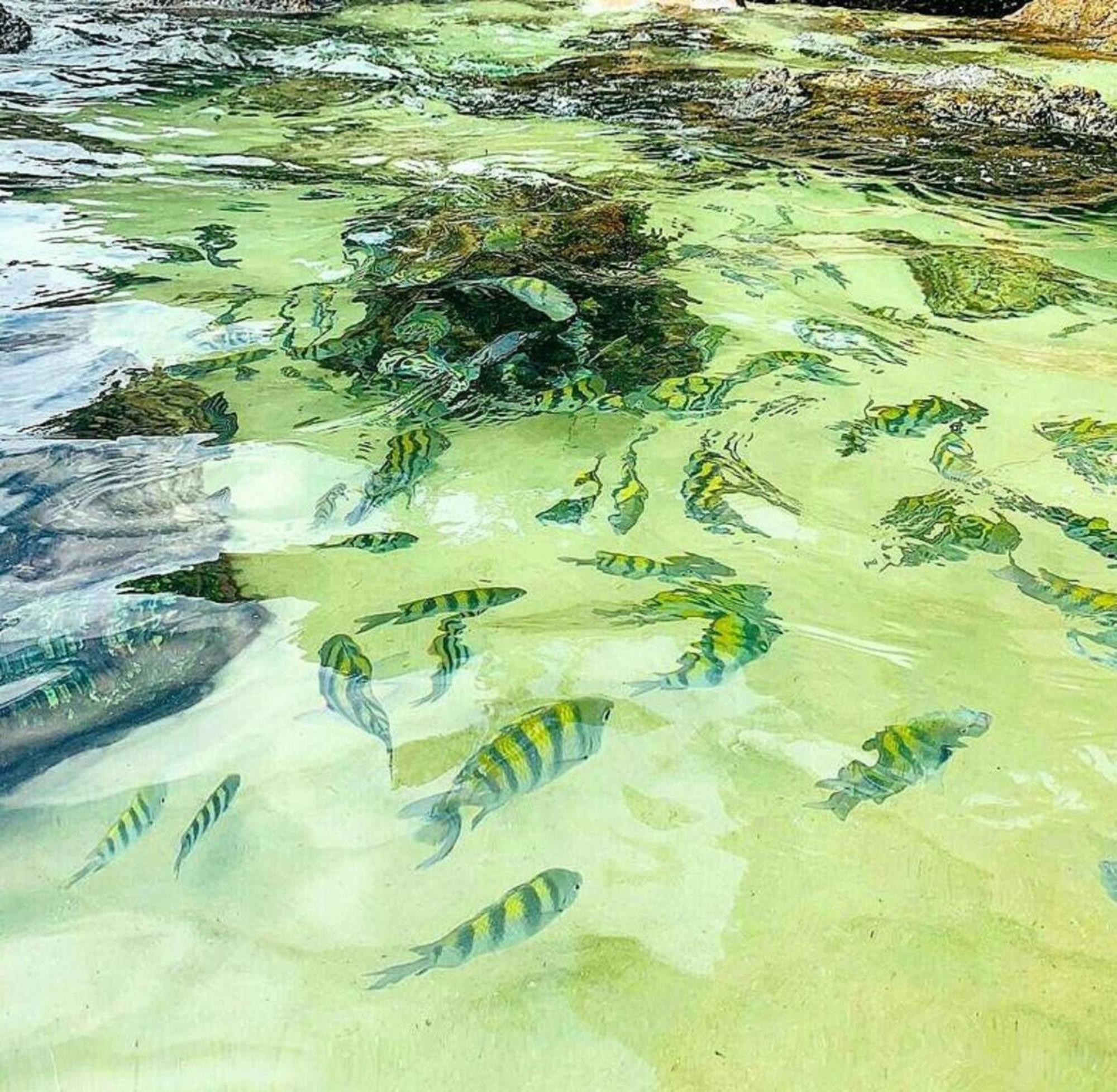 Praialar * Ubatuba
